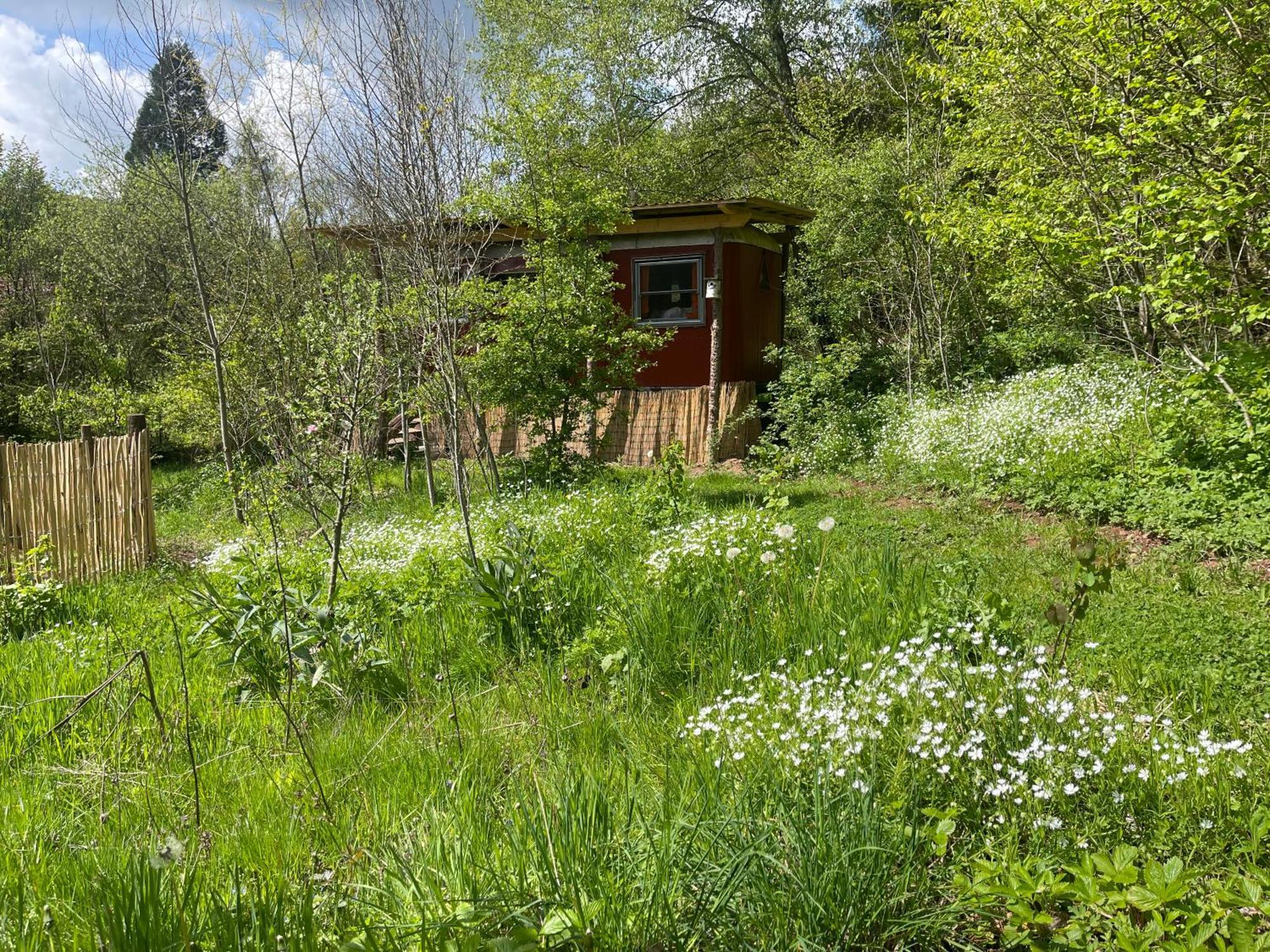 ויצנהאוזן Kuscheliger Zirkuswagen Im Wildgarten מראה חיצוני תמונה